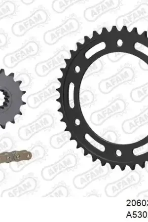 Uitverkoop AFAM - 530XSR2 104 MRS - Chain Kits - GOLD & SPROCKETS