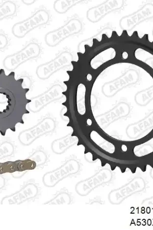 Gratis Retour AFAM - 530XHR2 110 MRS (RIVET) GOLD & SPROCKETS - Chain Kits - STEEL