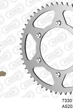 AFAM - 520XRR3 116 ARS (CLIP) GOLD & SPROCKETS - STEEL Hoge Kwaliteit