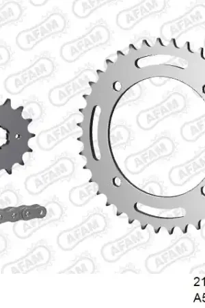 AFAM - 520XRR3 98 ARS (CLIP) GOLD & SPROCKETS - STEEL Bestel Nu