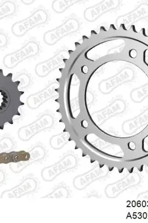 Geld-Terug-Garantie AFAM - 530XSR2 120 MRS - Chain Kits - Gold & Sprockets