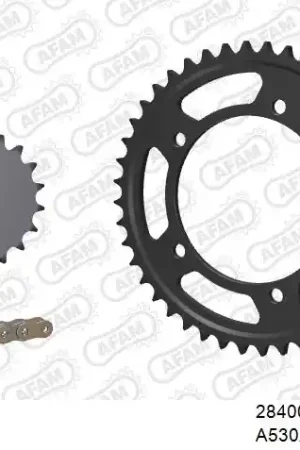 Snelle Levering AFAM - 530XSR2 118 MRS - Chain Kits - GOLD & SPROCKETS