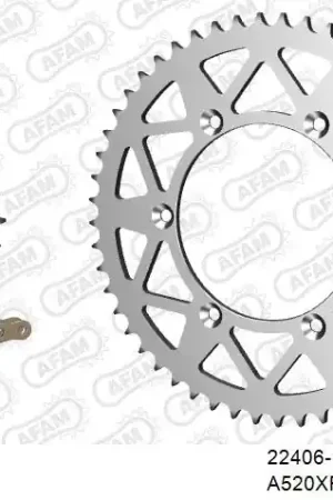 AFAM - 520XRR3 114 ARS (CLIP) GOLD & SPROCKETS - ALU Nu Kopen