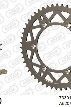 AFAM - 520XRR3 114 ARS (CLIP) GOLD & SPROCKETS - ALU Bestel Nu