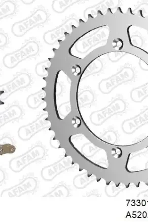 AFAM - 520XRR3 114 ARS (CLIP) GOLD & SPROCKETS - STEEL Dagaanbieding