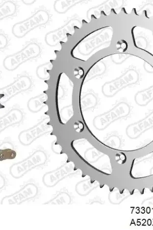 Favoriet AFAM - 520XRR3 114 ARS (CLIP) GOLD & SPROCKETS - STEEL