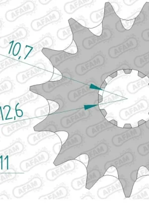 Modern AFAM - FRONT 15T, 520, SELF CLEANING - Sprockets - Zelfreinigend