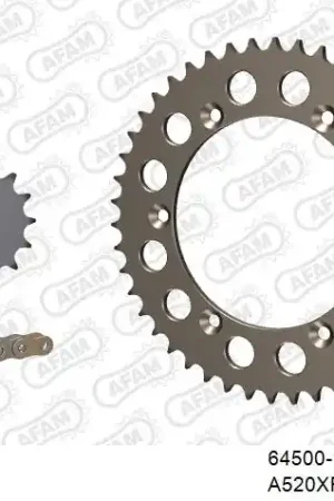 AFAM - 520XRR3 112 ARS (CLIP) GOLD & SPROCKETS - ALU Veilige Betaling
