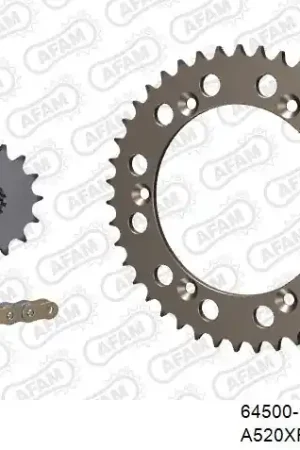 Modern AFAM - 520XRR3 110 ARS (CLIP) GOLD & SPROCKETS - ALU