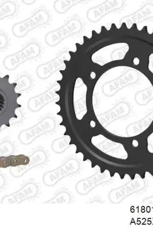 AFAM - 525XHR3 110 MRS - Chain Kits - Gold & Sprockets Gecertificeerd