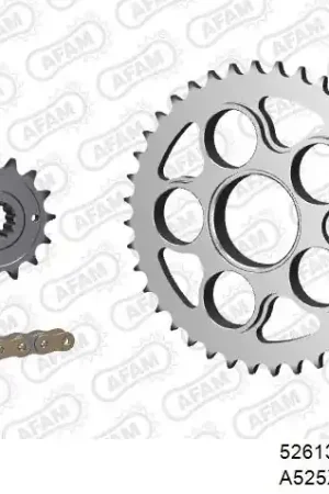 Groothandel AFAM - 525XHR3 104 MRS - Chain Kits - Gold & Sprockets