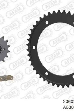 AFAM - 530XSR2 110 MRS (RIVET) GOLD & SPROCKETS - STEEL Groothandel