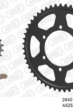 AFAM - 525XSR2 124 MRS (RIVET) GOLD & SPROCKETS - STEEL Direct Verzonden