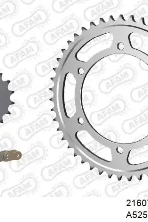 Gratis Verzending AFAM - 525XSR2 122 MRS - Chain Kits - GOLD & SPROCKETS