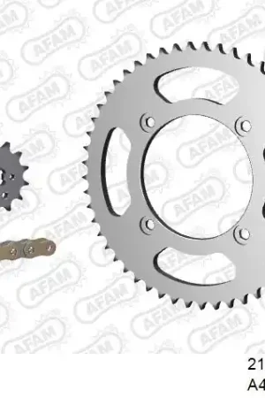 Dagaanbieding AFAM - 428R1 134 AR (CLIP) GOLD & SPROCKETS - Chain Kits - STEEL