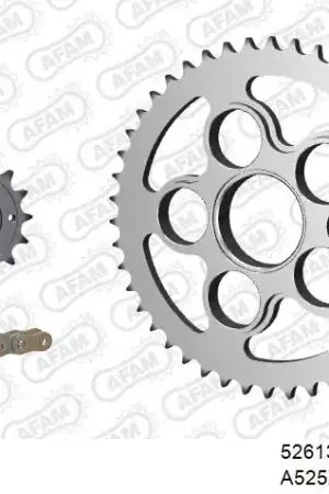Shop Nu AFAM - 525XSR2 108 MRS (RIVET) GOLD & SPROCKETS - STEEL