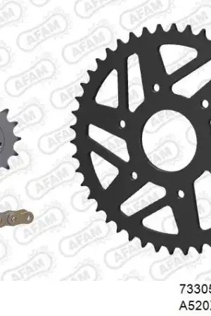 AFAM - 520XRR3 112 ARS (CLIP) GOLD & SPROCKETS - STEEL Koopje