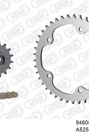 Speciale Aanbieding AFAM - 525XSR2 112 MRS - Chain Kits - Goud & Staal