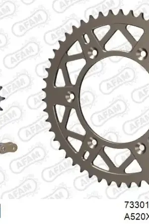 AFAM - 520XRR3 114 ARS (CLIP) GOLD & SPROCKETS - ALU Nu Kopen