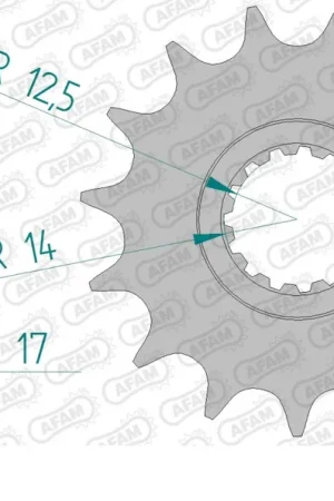 AFAM - FRONT 15T, 520 - Sprockets - Compatible with Ducati Laatste Kans