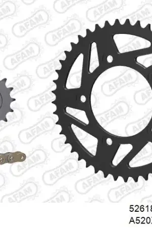 AFAM - 520XHR2 106 MRS (RIVET) GOLD & SPROCKETS - STEEL Nieuw Model