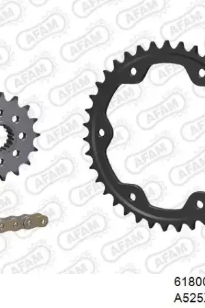 Lage Kosten AFAM - 525XHR3 112 MRS (RIVET) GOLD & SPROCKETS - STEEL