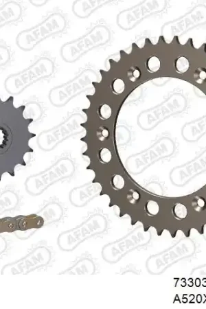 Beperkt Aanbod AFAM - 520XSR 110 MRS (RIVET) - Chain Kits - GOLD & SPROCKETS