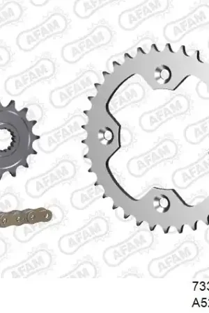 Alleen Vandaag AFAM - 520XSR 96 MRS (RIVET) GOLD & SPROCKETS - Chain Kits - STEEL