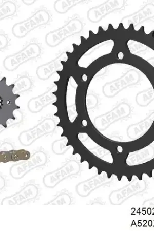 Nieuw Model AFAM - 520XRR3 106 ARS (CLIP) GOLD & SPROCKETS - STEEL