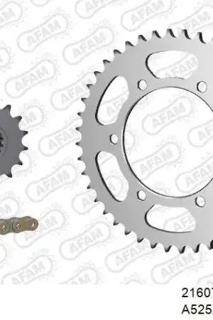 Shop Nu AFAM - 525XSR2 108 MRS - Chain Kits - RIVET GOLD & SPROCKETS