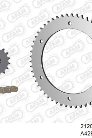 Geld-Terug-Garantie AFAM - 428XMR2 132 AR (CLIP) GOLD & SPROCKETS - Chain Kits - Geschikt voor Yamaha Tdr 125 p