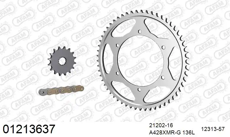 Betrouwbaar AFAM - 428XMR2 136 AR - Chain Kits - Gold & Sprockets