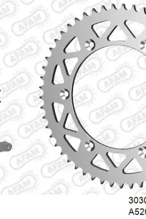 Must-Have AFAM - 520XRR3 116 ARS (CLIP) GOLD & SPROCKETS - ALU