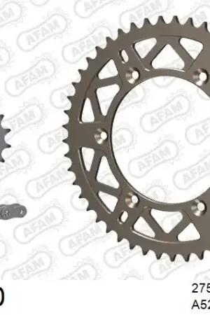 Geld-Terug-Garantie AFAM - 520XRR3 114 ARS (CLIP) GOLD & SPROCKETS - ALU