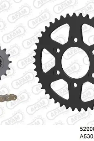 Dagaanbieding AFAM - 530XHR2 114 MRS - Chain Kits - GOLD & SPROCKETS