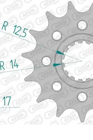 AFAM - FRONT 15T, 520 - Sprockets - Compatibel met Ducati Gratis Verzending