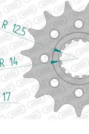 Beste Prijs AFAM - FRONT 16T, 520 - Sprockets - Geschikt voor Ducati