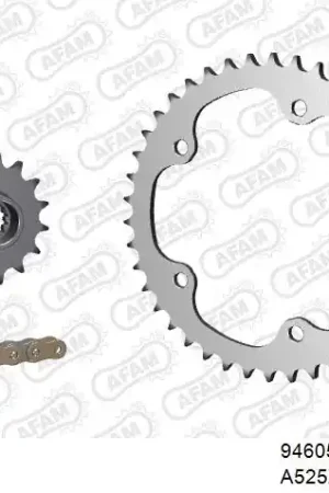 Hete Deal AFAM - 525XSR2 112 MRS (RIVET) GOLD & SPROCKETS - Chain Kits - STEEL