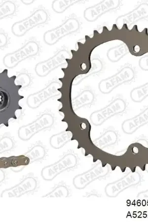 Exclusief AFAM - 525XSR2 114 MRS (RIVET) GOLD & SPROCKETS - ALU