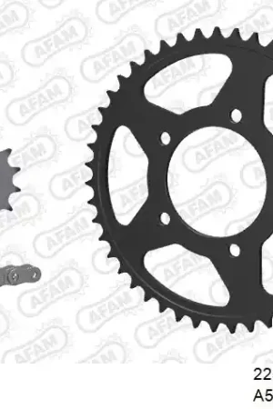 Favoriet AFAM - 520XRR3 116 ARS (CLIP) GOLD & SPROCKETS - STEEL