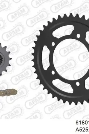 AFAM - 525XHR3 110 MRS (RIVET) GOLD & SPROCKETS - STEEL Uitverkoop