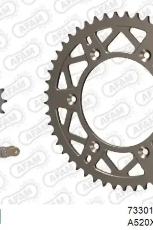 AFAM - 520XRR3 112 ARS (CLIP) GOLD & SPROCKETS - ALU Betaalbaar