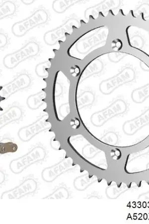 Gecertificeerd AFAM - 520XRR3 114 ARS (CLIP) GOLD & SPROCKETS - STEEL