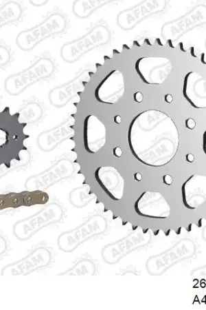 Betrouwbaar AFAM - 428R1 110 AR (CLIP) GOLD & SPROCKETS - Chain Kits - STEEL