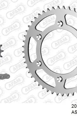Exclusief AFAM - 520XRR3 106 ARS (CLIP) GOLD & SPROCKETS - STEEL