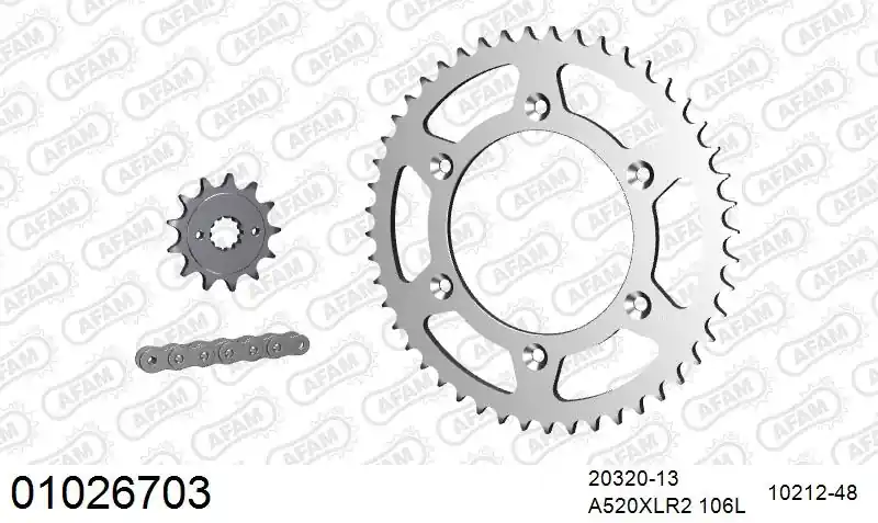 Exclusief AFAM - 520XRR3 106 ARS (CLIP) GOLD & SPROCKETS - STEEL