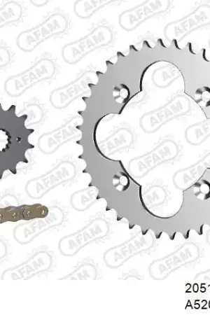 AFAM - 520XRR3 94 ARS (CLIP) GOLD & SPROCKETS - STEEL Rechtstreeks Van De Fabrikant