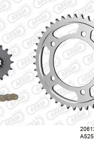 Luxe AFAM - 525XSR2 118 MRS - Chain Kits - Gold & Sprockets