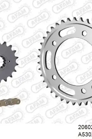 Direct Beschikbaar AFAM - 530XHR2 110 MRS (RIVET) GOLD & SPROCKETS - STEEL KETTINGKIT