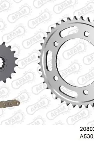 Handgemaakt AFAM - 530XHR2 110 MRS - Chain Kits - GOLD & SPROCKETS